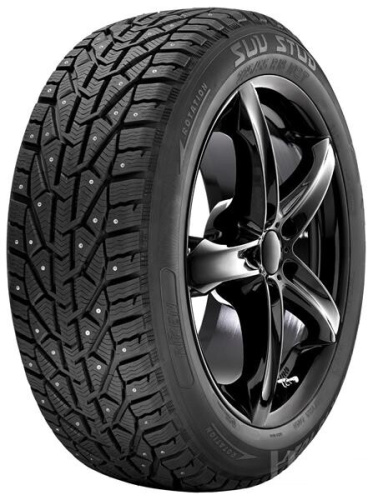 Tigar Ice 205/65 R15 99T